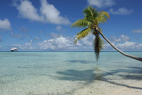 2 Oct 27 - Fakarava, îles Tuamotu