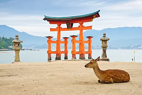 11 Mai 27 - Île Miyajima