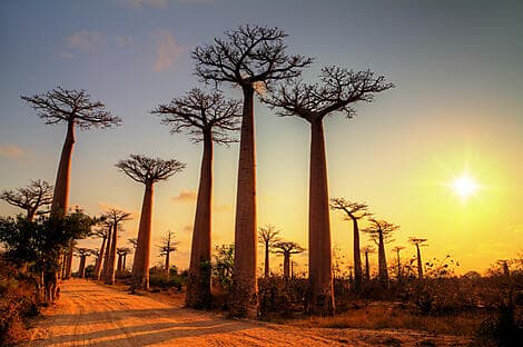 23 Déc 26 - Morondava