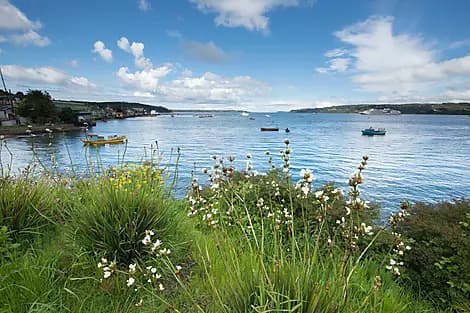 31 Oct 25 - Quemchi, île de Chiloé