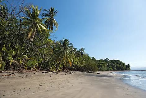 25 Janv 26 - Île de Cébaco