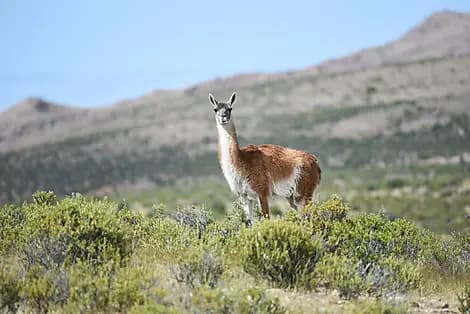 13 Mars 27 - Puerto Madryn