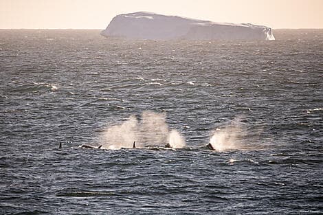 25 Janv 26 - Mer d'Amundsen
