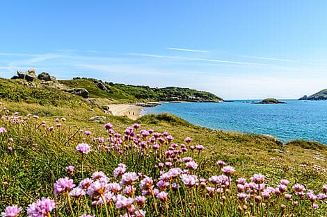 6 Mai 26 - Herm, îles Anglo-Normandes