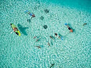 Rencontre avec les raies et les requins