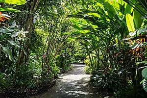 Les merveilles de Soufrière