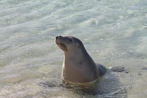 9 Août 27 - Parc marin de Jurien Bay