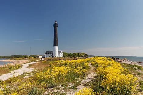 14 Juil 26 - Saaremaa Sadam