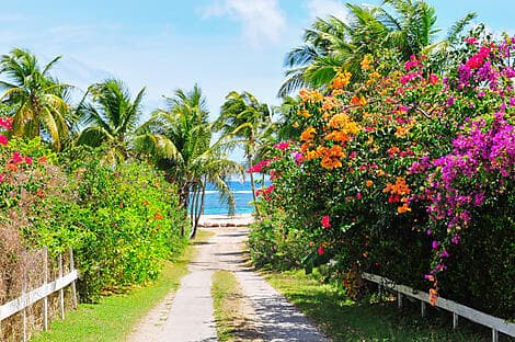11 Mars 26 - Charlestown, Nevis