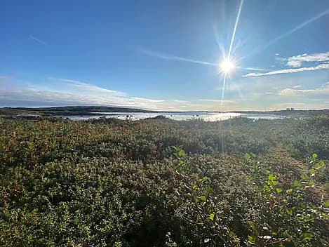 23 Sept 25 - La Romaine