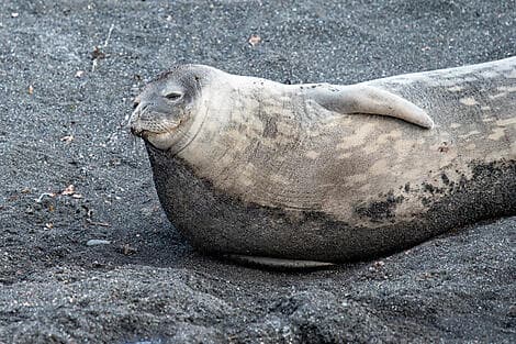 8 Mars 26 > 9 Mars 26 - Terres australes et antarctiques françaises
