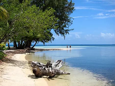 9 Déc 25 - Water Caye