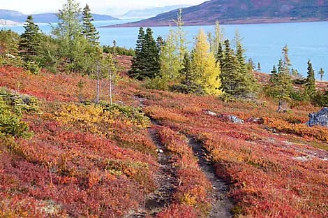 16 Sept 26 - Nain