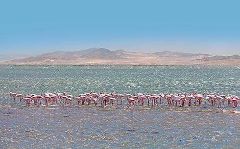 17 Déc 25 > 18 Déc 25 - Walvis Bay