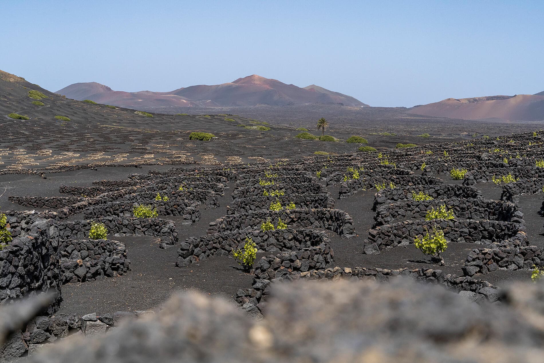 Entre volcans et océan, du Cap Vert aux Canaries  
