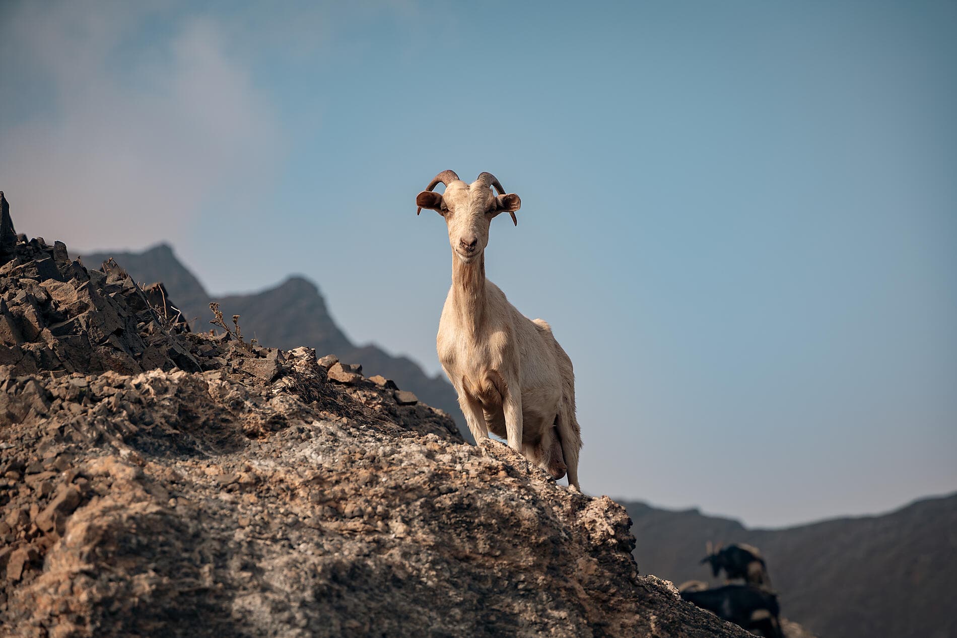 Entre volcans et océan, du Cap Vert aux Canaries  