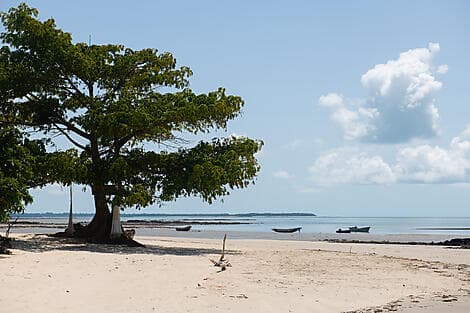 3 Janv 27 - Île Joao Vieira, Bijagos