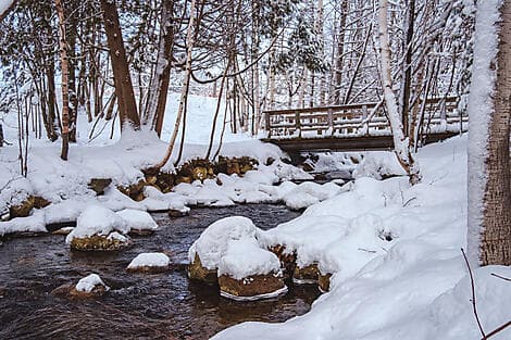 EXPLORATION DES LAURENTIDES ET DE MONTRÉAL (4 NUITS)