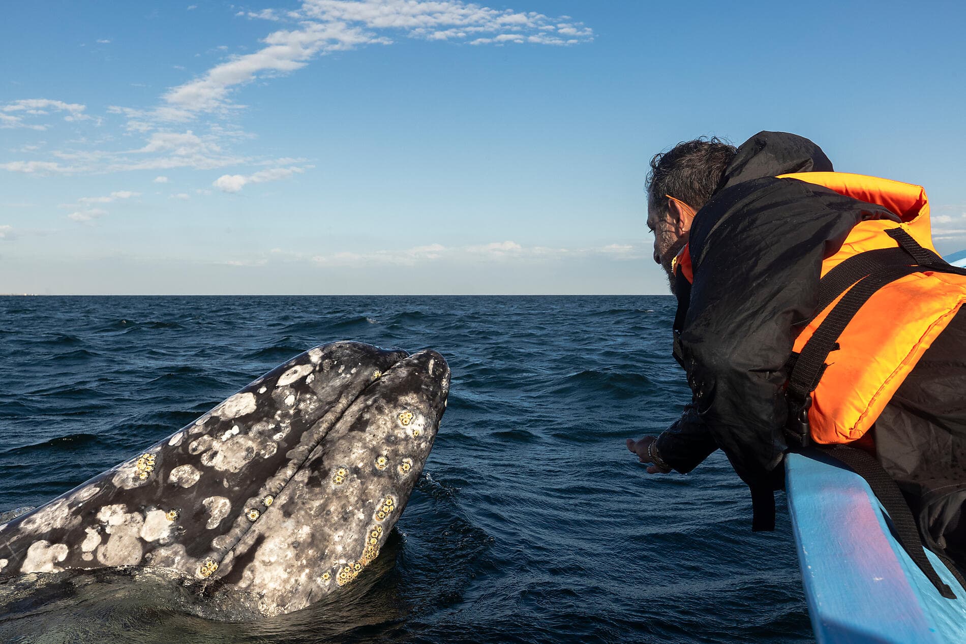 Exploration au cœur de la Basse-Californie