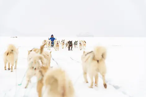 5 Août 26 - Qeqertarsuaq