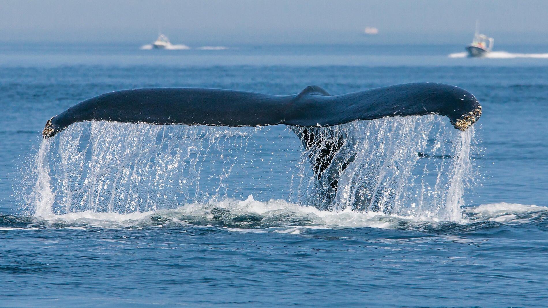 Exploration du Groenland au Canada par Saint-Pierre-et-Miquelon Exploration du Groenland au Canada par Saint-Pierre-et-Miquelon