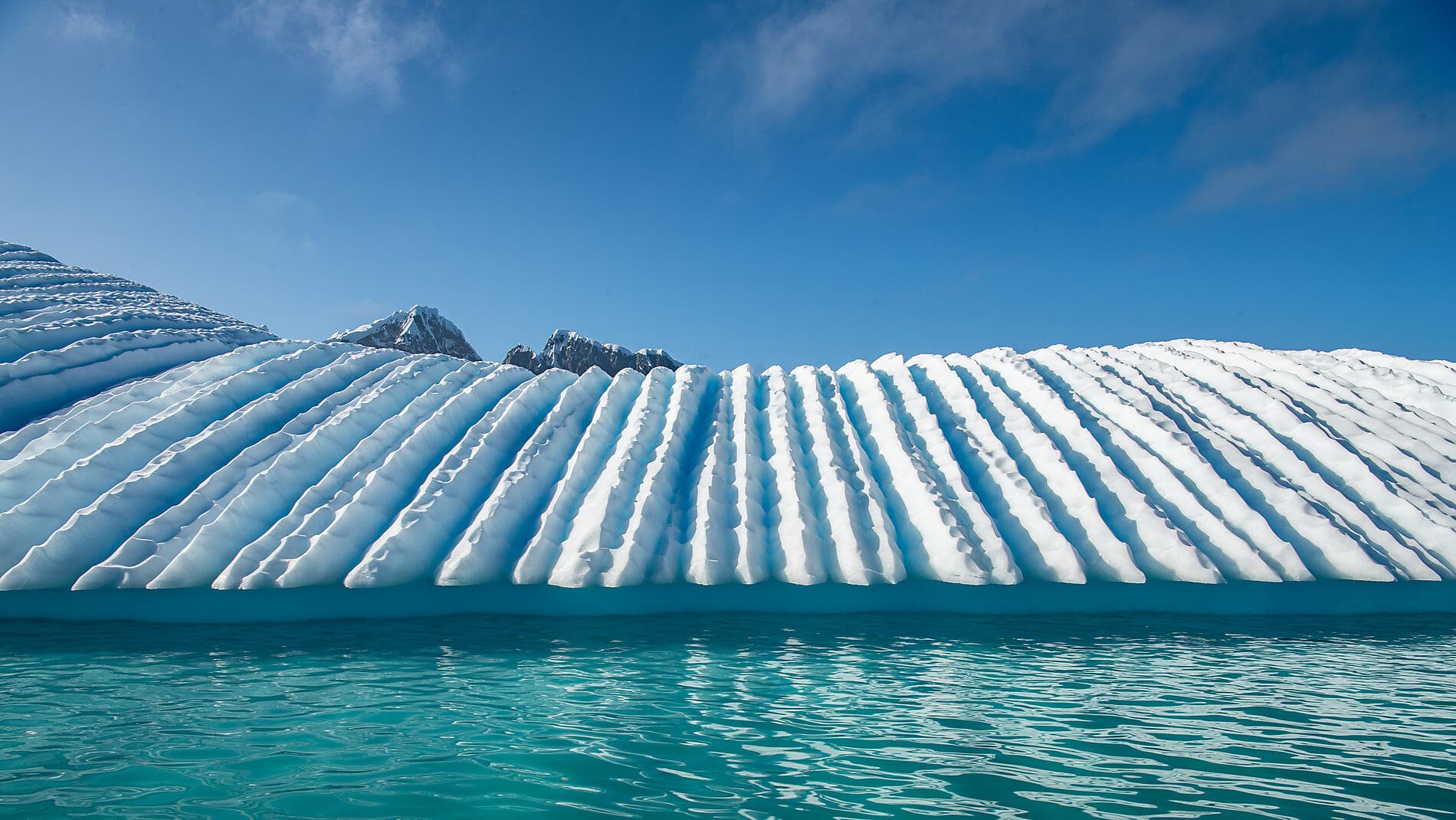 L’Antarctique emblématique